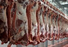 exportaciones de carne