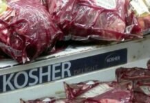 carne kosher