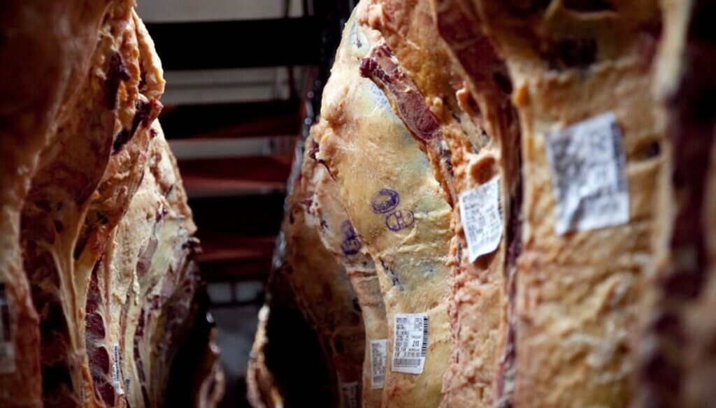 economía carne exportación