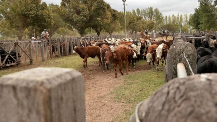Federación Agrícola Ganadera del Oeste Argentino